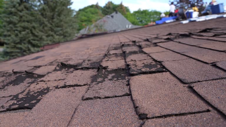 Best Asphalt Shingle Roofing  in De Graff, OH
