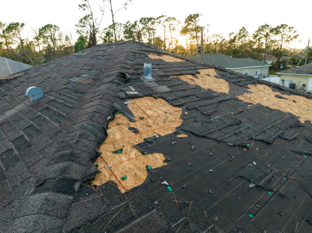 Best Roof Insulation Installation  in De Graff, OH